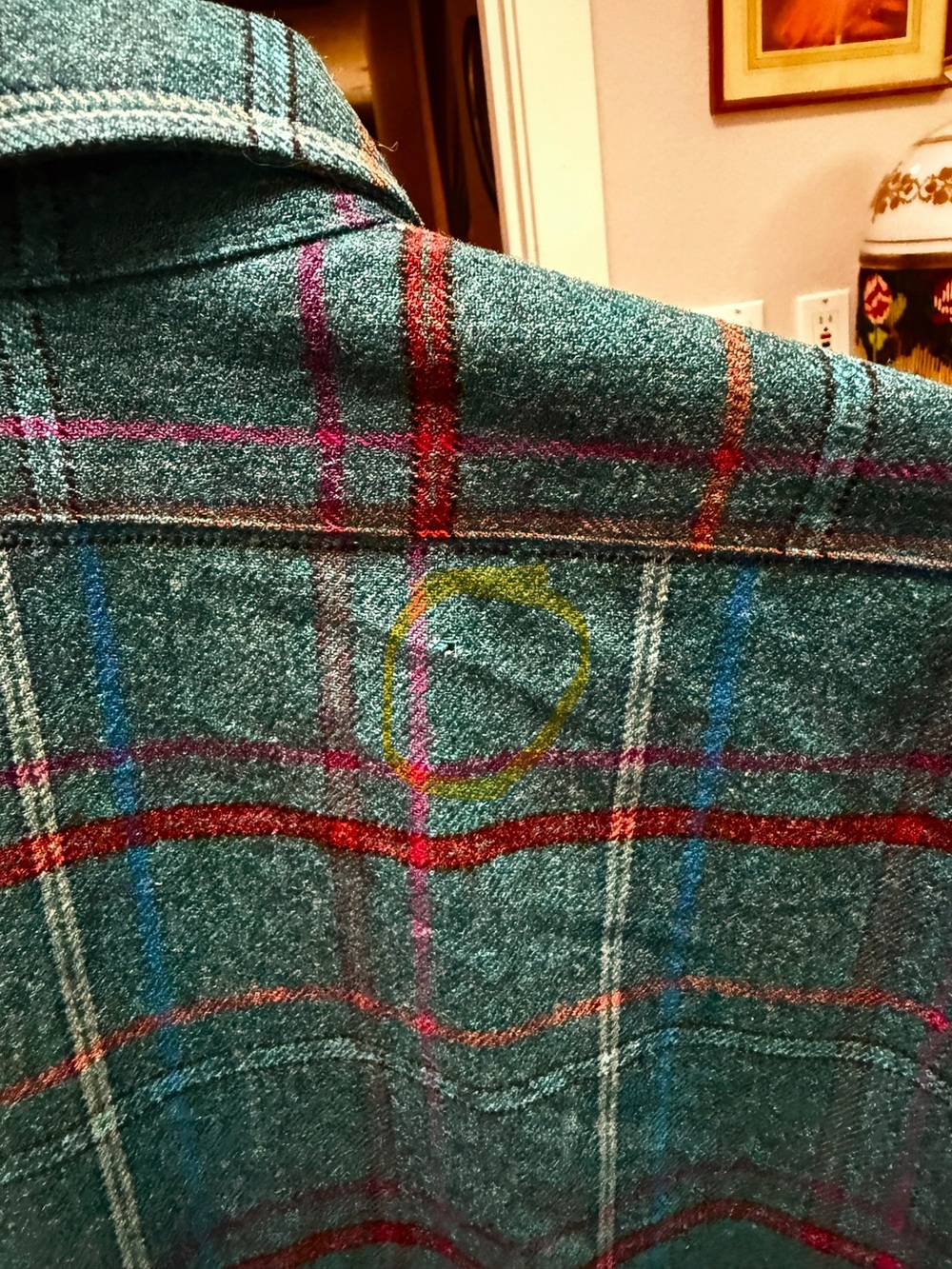 Pendleton - Picture 6 of 7